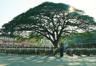 unilever_school