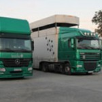Bestlog trucks at Ascari